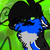 :iconcheckered-cheetah: