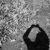 :iconcheckeredrose:
