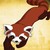 :iconcheckerz13: