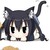 :iconcheckiton: