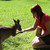 :iconcheeky-cristal: