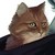 :iconcheekyftw:
