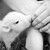 :iconCheers-Love: