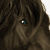 :iconcheesasaurus:
