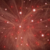 :iconcheese-and-onion-pie: