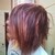 :iconcheese-wolf: