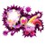 :iconcheesywhale123: