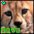 :iconcheetahforeverrunnin: