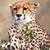 :iconcheetahgirl789: