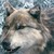 :iconcheetahmasters: