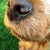 cheethan :iconcheethan:
