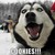 :iconcheeto-the-roo: