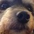 :iconcheezdude: