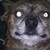 :iconcheflou: