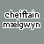 :iconCheiftainMaelgwyn: