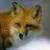 :iconchelan-tokala: