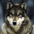 :iconchelle-chan:
