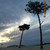 :iconchelo0109: