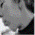 :iconchelsea-evans: