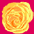 :iconchelsieisrad: