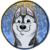 :iconchemistryxx-31: