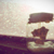 :iconchemrose: