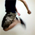 :iconchenchentao: