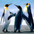 chengzhifu0015 :iconchengzhifu0015: