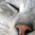 :iconcheniandbyrn: