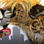 :iconchenyere: