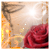 :iconcheriska: