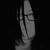 :iconchernobyl-dog: