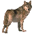 :iconcherokeewolfehs: