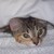 :iconcherrrysplash1519: