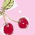 :iconcherry---on---top: