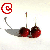 :iconcherry-club: