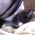 :iconcherry-gothgirl: