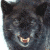 :iconcherry-kizzes: