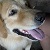 :iconcherrybear7: