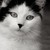 :iconcherryberry-manga: