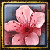 :iconcherrychan25: