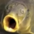 :iconcherrydoyen: