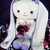 cherrymay2132 :iconcherrymay2132: