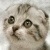 :iconcherryparanoia: