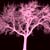 :iconcherrytree: