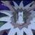 :iconcherubimon-virus: