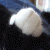 :iconcheshire94: