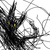 :iconcheshirecat1810: