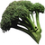 :iconcheshiredark: