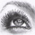 :iconCheshireGold: